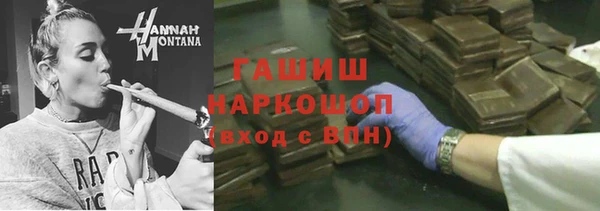 a pvp Новозыбков
