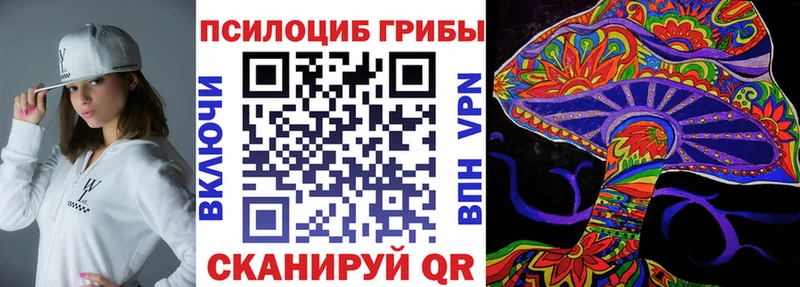 мориарти Telegram Артёмовск Псилоцибиновые грибы Magic Shrooms